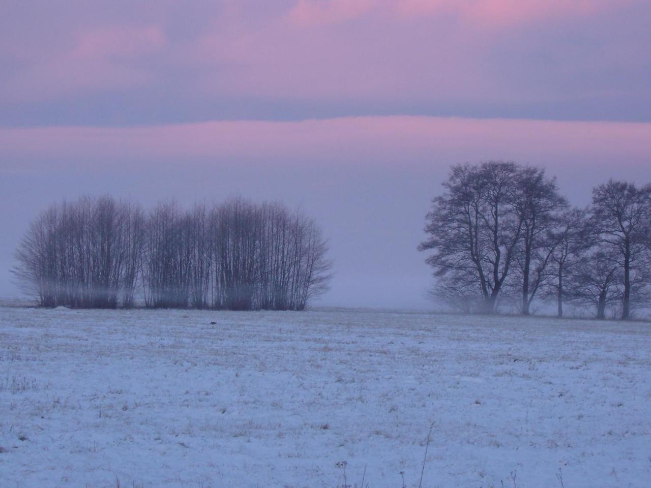 "Ferienwohnungen Wiesenblick" Trassenheide Exterior photo